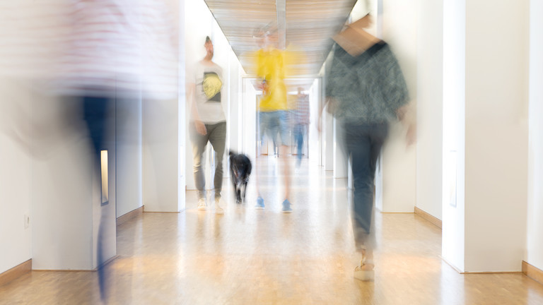 Palmer Hargreaves hallway