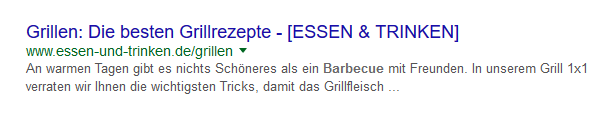 SERP Beispiel